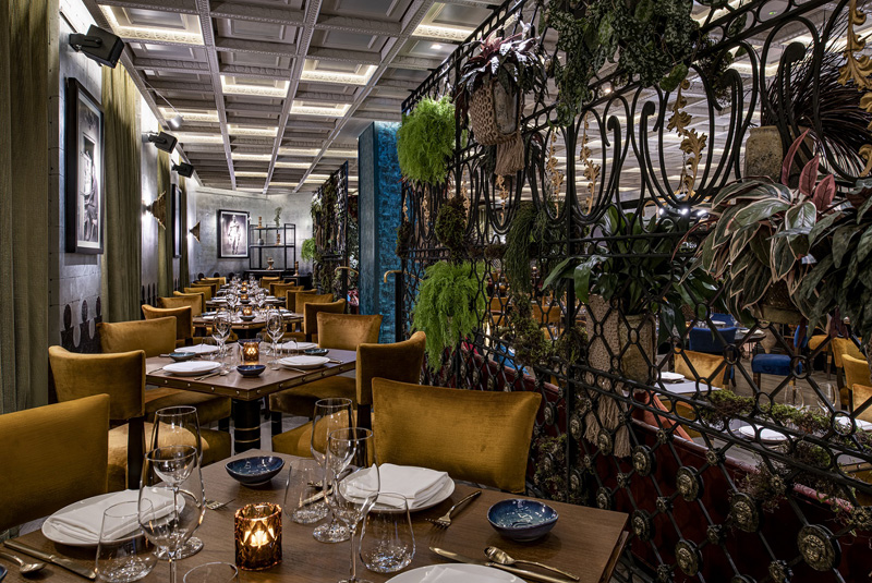 W DOHA EXPANDS ITS EXCLUSIVE CULINARY OFFERINGS WITH THE OPENING OF COYA DOHA