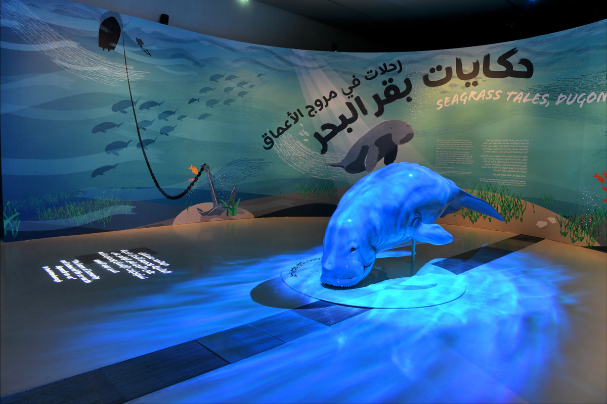 NATIONAL MUSEUM OF QATAR PRESENTS FIRST NATURAL HISTORY EXHIBITION ON THE DUGONG, THE PROTECTED MARINE MAMMAL NATIVE TO QATAR’S WATERS